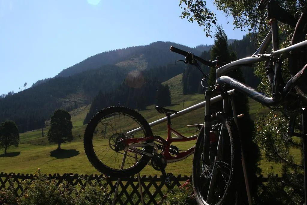 Pension Enzian Saalbach-Hinterglemm